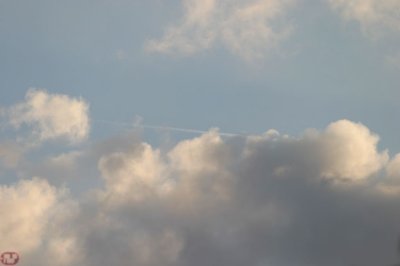 IMG_8555.JPG