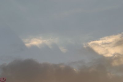 IMG_8562.JPG