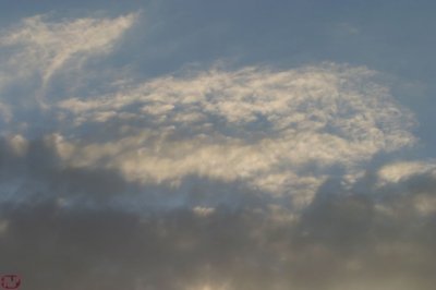 IMG_8571.JPG