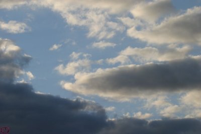 IMG_8593.JPG