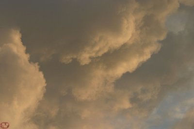 IMG_8643.JPG