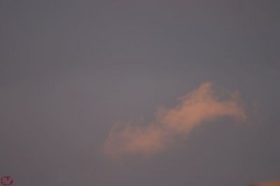 IMG_8646.JPG