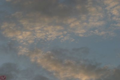 IMG_8647.JPG