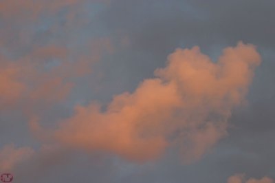 IMG_8652.JPG