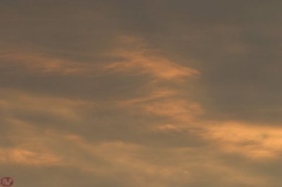IMG_8653.JPG
