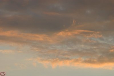 IMG_8654.JPG