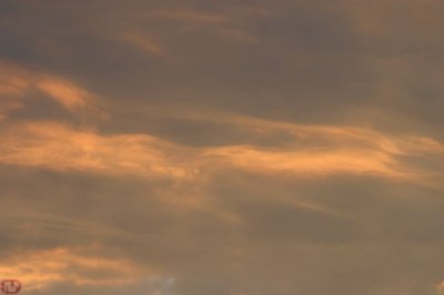 IMG_8655.JPG