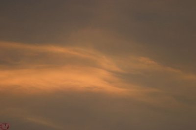 IMG_8656.JPG