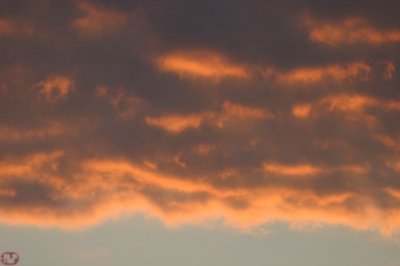 IMG_8664.JPG