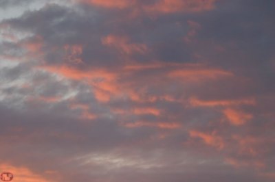 IMG_8669.JPG