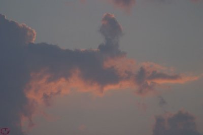 IMG_8867.JPG