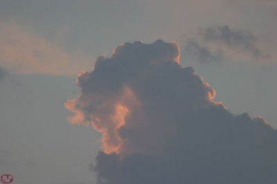IMG_8870.JPG