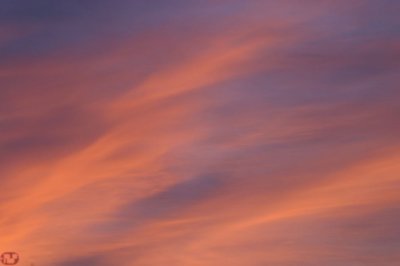 IMG_8923.JPG