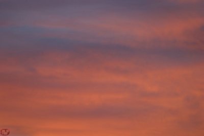 IMG_8925.JPG