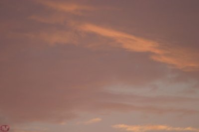 IMG_8966.JPG