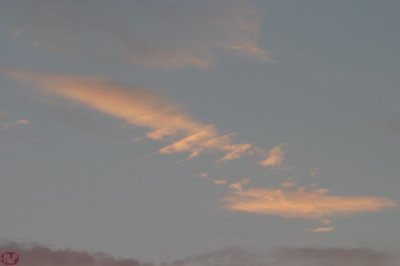 IMG_8967.JPG