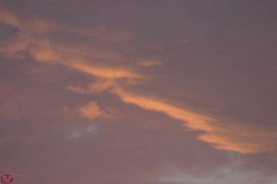 IMG_8972.JPG