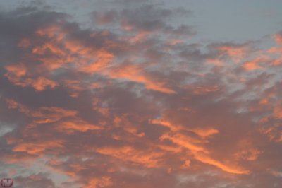 IMG_9004.JPG