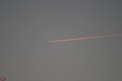Red one