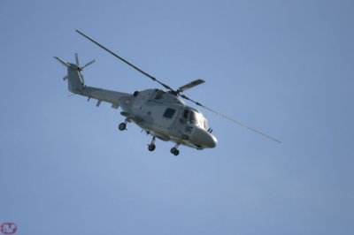 Lynx