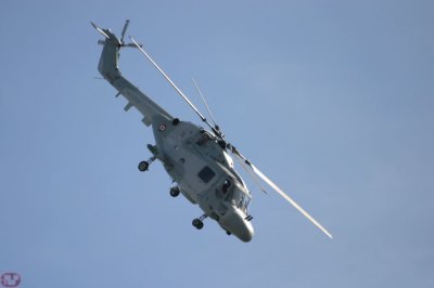 Lynx