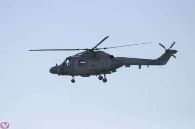 Lynx