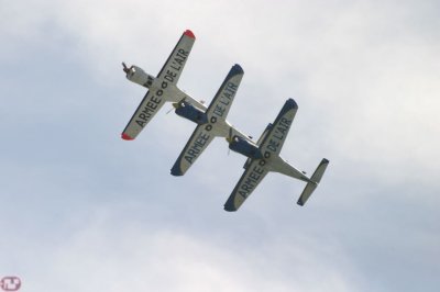 Cartouche Dor squadron