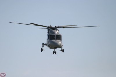 Lynx