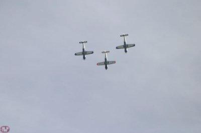 Cartouche Dor squadron