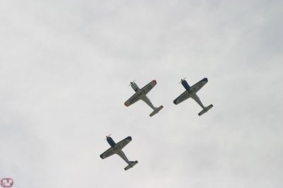 Cartouche Dor squadron