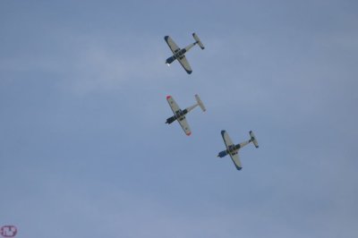 Cartouche Dor squadron