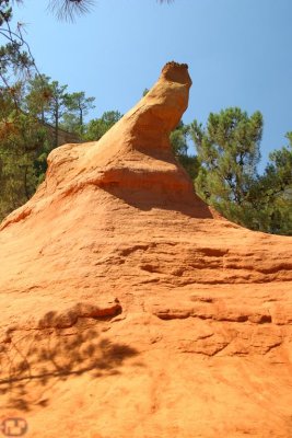 putain, encore l'oiseau