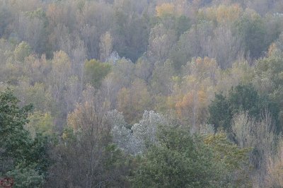 automne