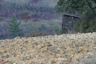 la cabane