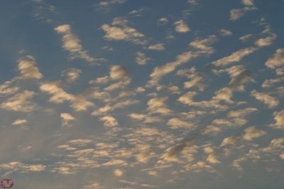 IMG_2460.JPG