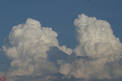 IMG_2560.JPG