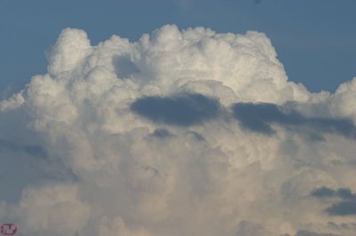 IMG_2563.JPG
