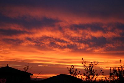 IMG_2637.JPG