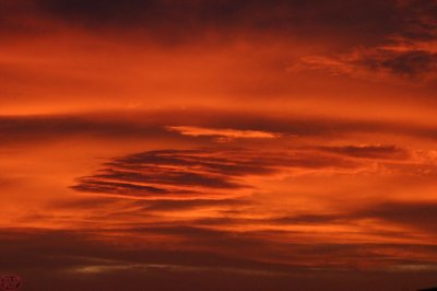IMG_2638.JPG