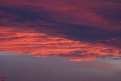 IMG_2642.JPG