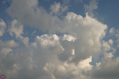 IMG_3941.JPG