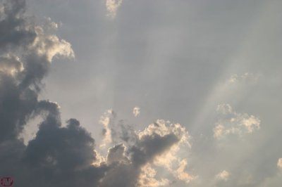 IMG_3943.JPG
