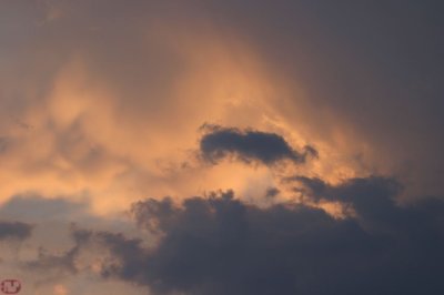 IMG_3968.JPG