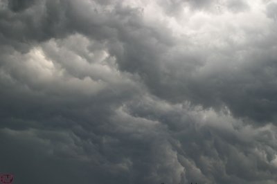 IMG_3997.JPG