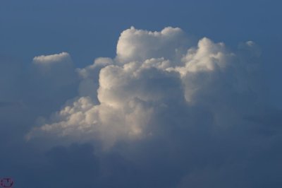 IMG_8232.JPG