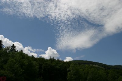 IMG_8824.JPG