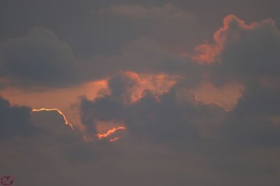 CRW_9657.JPG