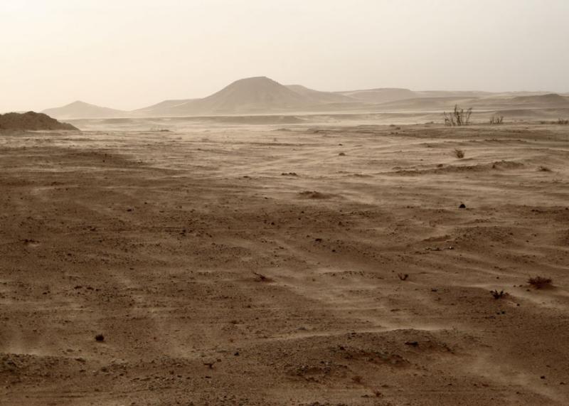 Early morning sandstorm