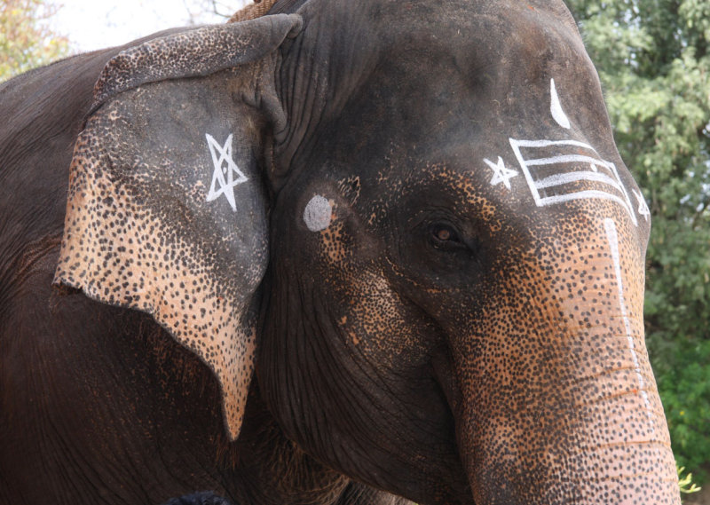Brihadishwara Temple elephant