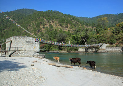 Bridge to Amankora